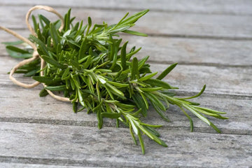Unlock the Power of Organic Rosemary Oil: Your Natural Elixir for Hair, Scalp, Mind & More