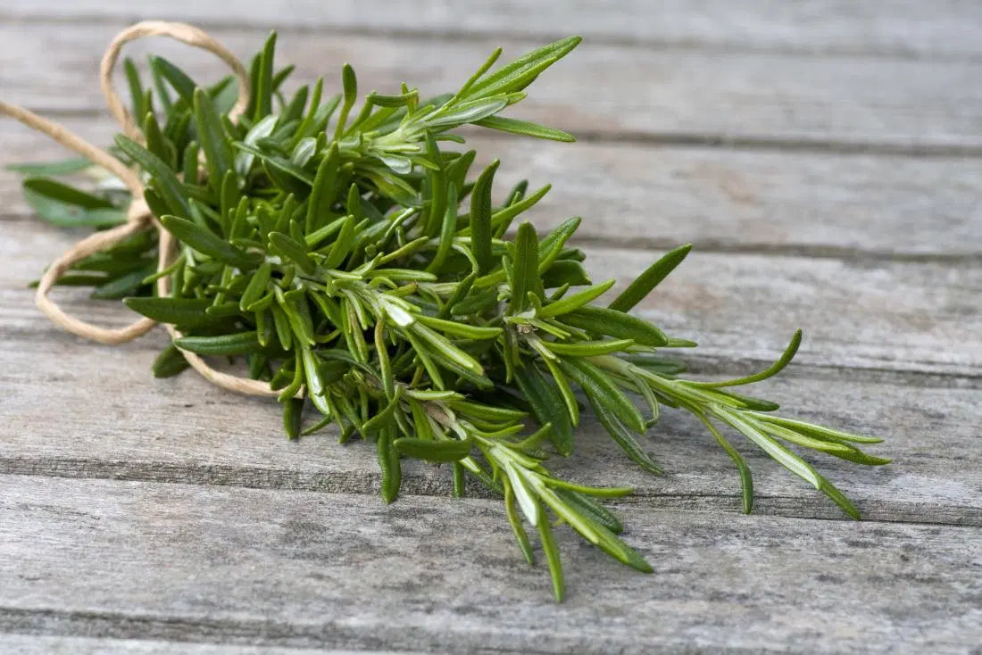 Unlock the Power of Organic Rosemary Oil: Your Natural Elixir for Hair, Scalp, Mind & More