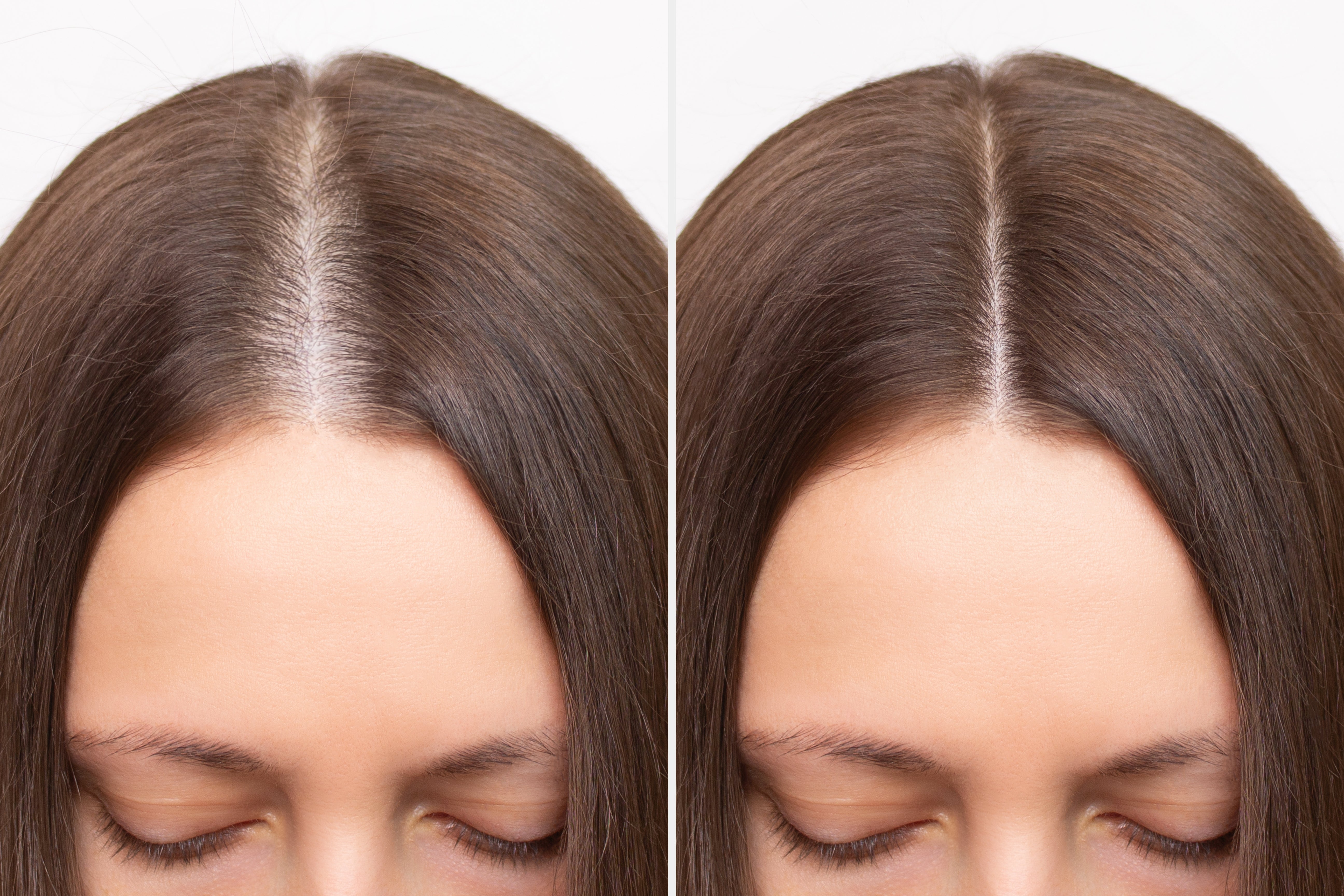 100% Organic Rosemary Essential Oil for Hair Growth & Focus | The Organic Oil Lab