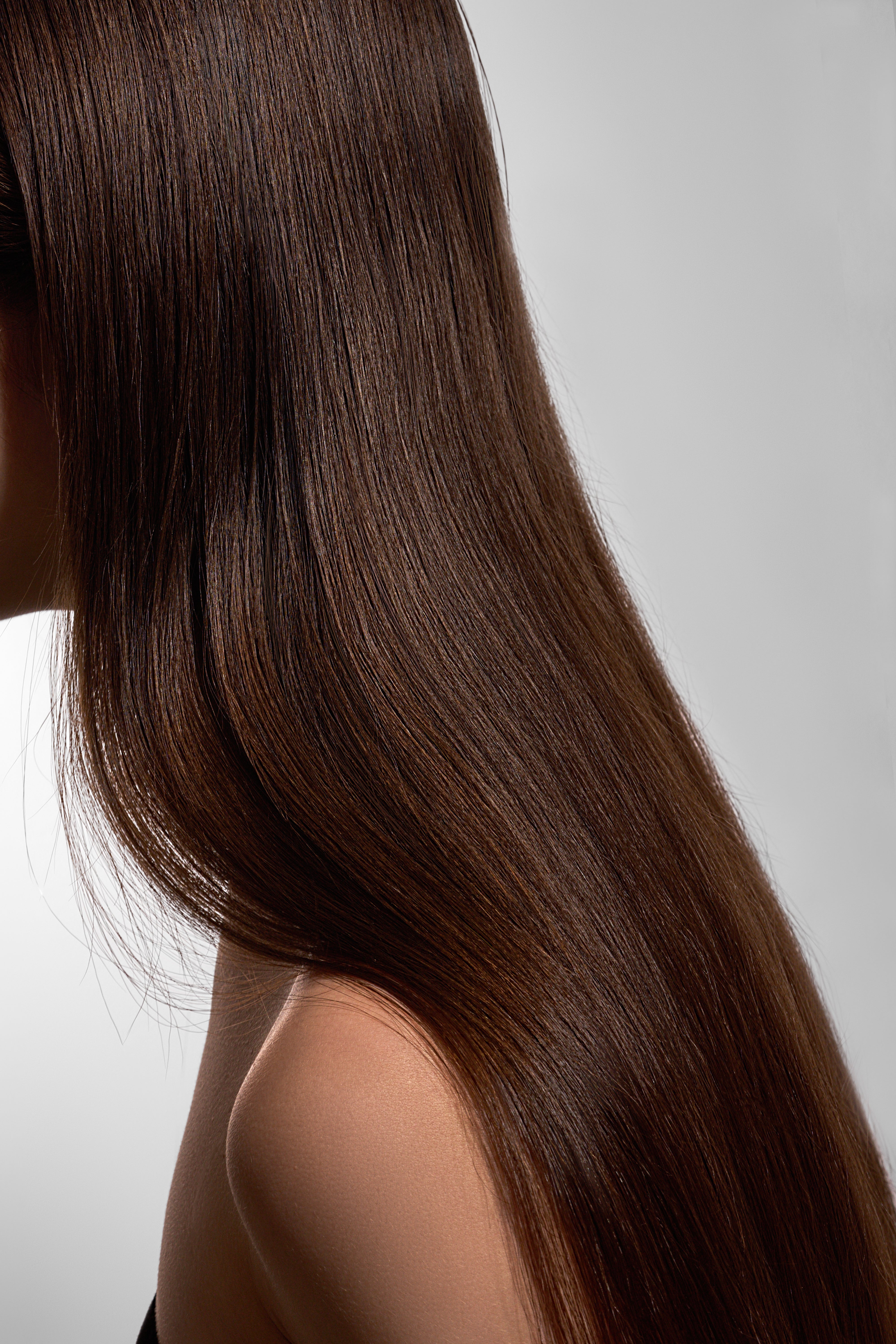 100% Organic Rosemary Essential Oil for Hair Growth & Focus | The Organic Oil Lab