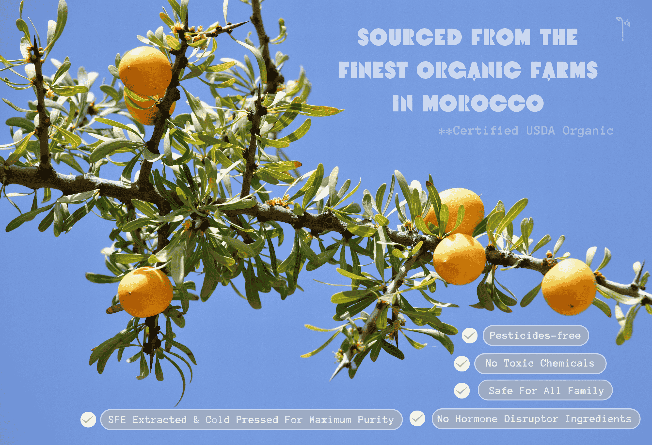 100% Pure USDA Organic Moroccan Argan Oil | Ultra Moisturizing for Hair, Skin & Scalp